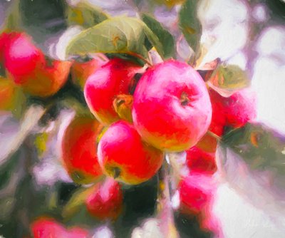 Fruit of Life by Helen White